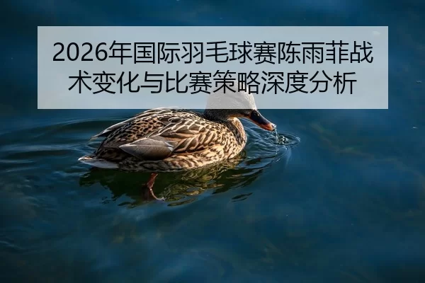 nian-guo-ji-yu-mao-qiu-sai-chen-yu-fei-zhan-shu-bian-hua-yu-bi-sai-ce-lve-shen-du-fen-xi-2-106.jpg