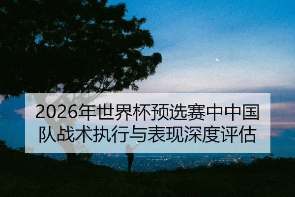 nian-shi-jie-bei-yu-xuan-sai-zhong-zhong-guo-dui-zhan-shu-zhi-xing-yu-biao-xian-shen-du-ping-gu-2-899.jpg