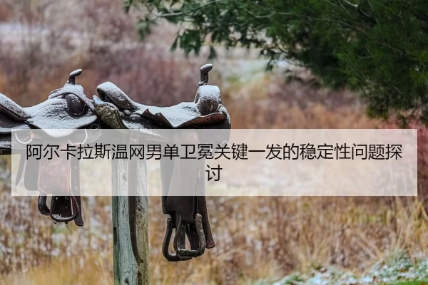 a-er-ka-la-si-wen-wang-nan-dan-wei-mian-guan-jian-yi-fa-de-wen-ding-xing-wen-ti-tan-tao-2-810.jpg