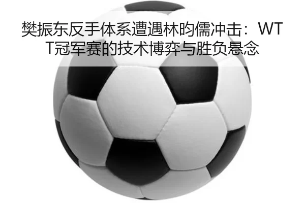 樊振东反手体系遭遇林昀儒冲击：WTT冠军赛的技术博弈与胜负悬念