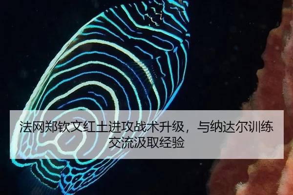 法网郑钦文红土进攻战术升级，与纳达尔训练交流汲取经验