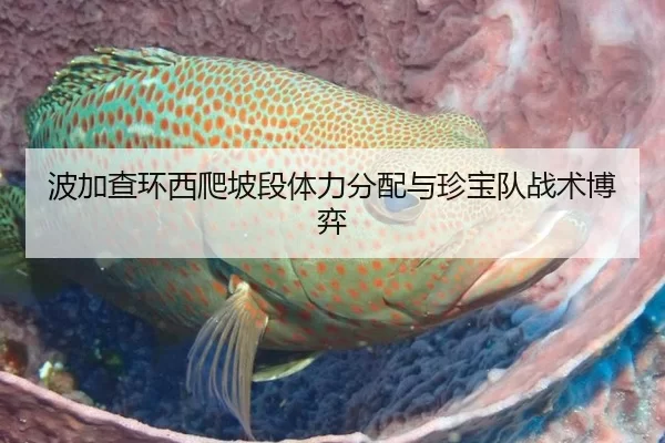 波加查环西爬坡段体力分配与珍宝队战术博弈