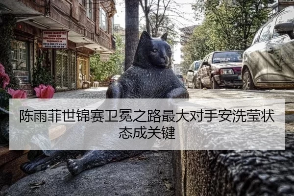 陈雨菲世锦赛卫冕之路最大对手安洗莹状态成关键