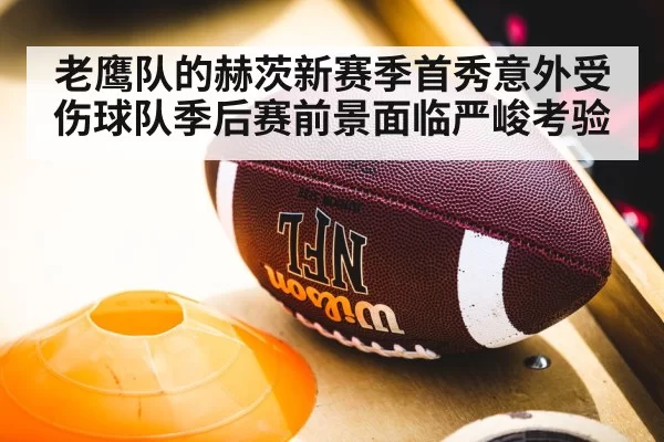 老鹰队的赫茨新赛季首秀意外受伤球队季后赛前景面临严峻考验