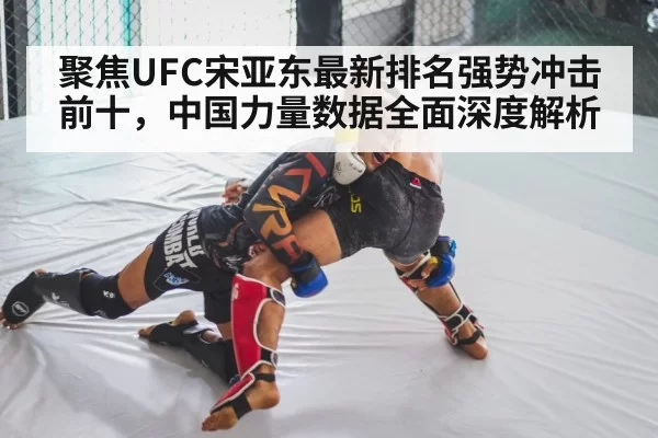 聚焦UFC宋亚东最新排名强势冲击前十，中国力量数据全面深度解析