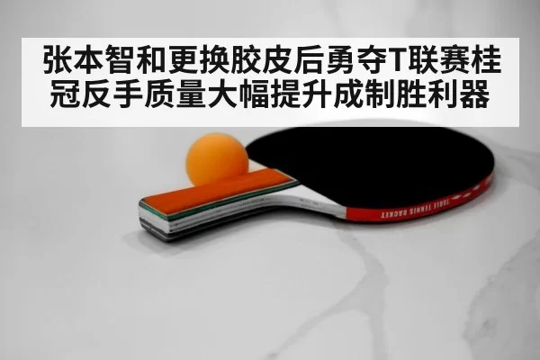 table tennis racket rubber